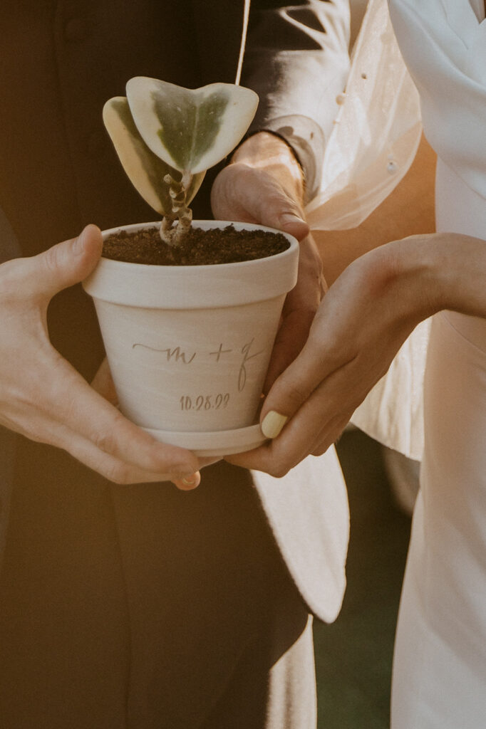Couple holding their newly potted plant on their wedding day