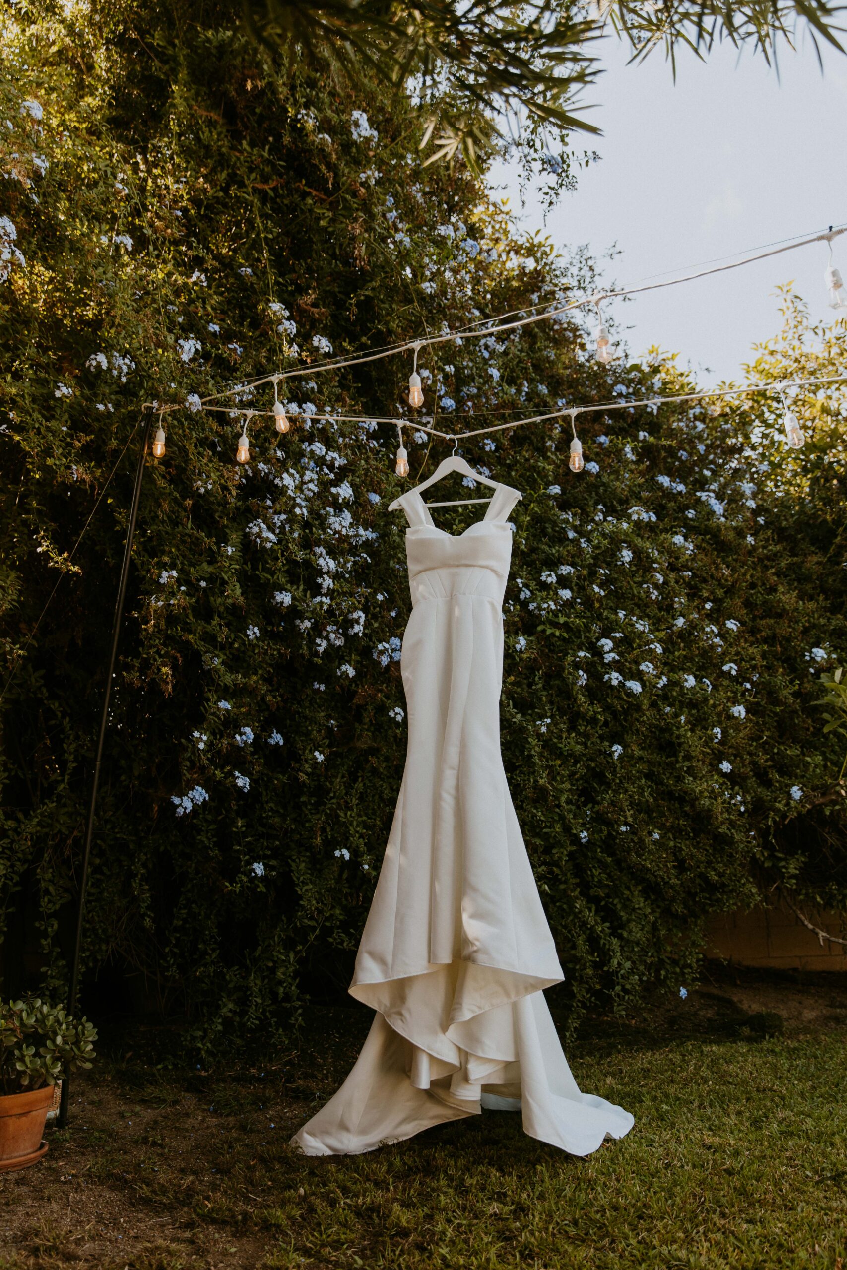A wedding dress hanging from a string of lights amidst greenery.