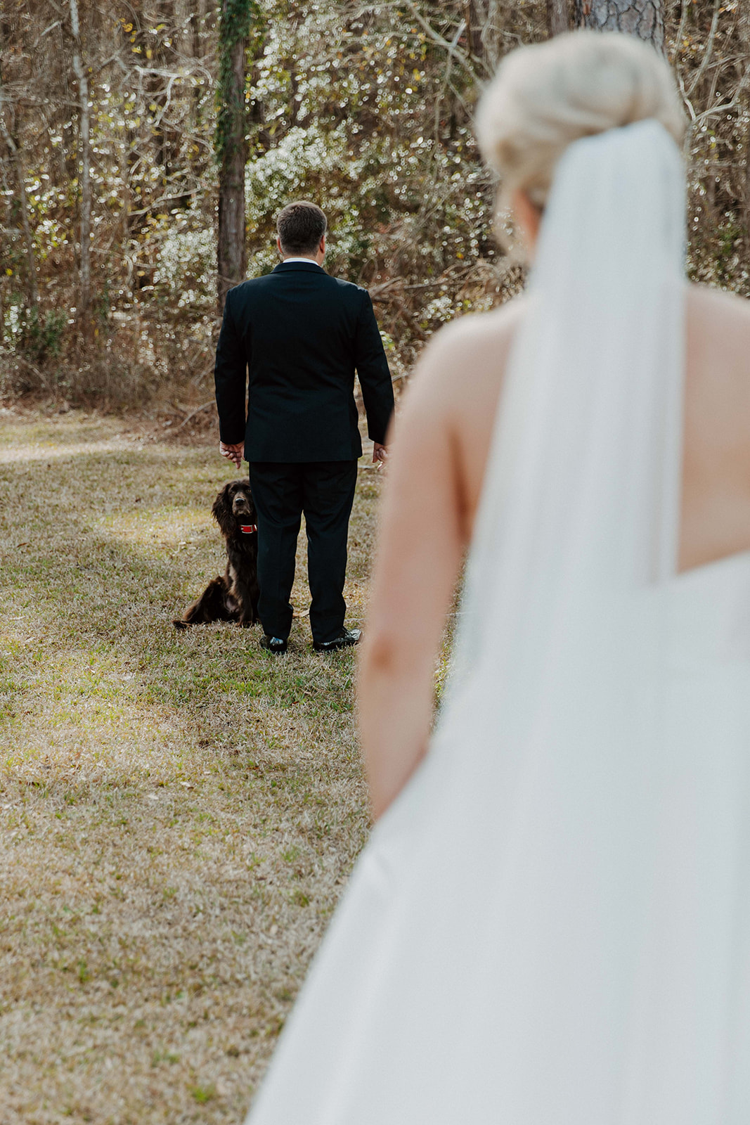 A bride in a white dress stands outside a white house, watching a man in a suit and bow tie walking a brown dog on a lawn during their first look at The Venues at Ogeechee Tech