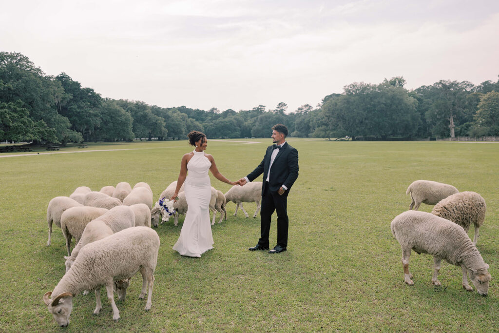Two Love Stories, One Stunning Backdrop: A Middleton Place Wedding to Remember