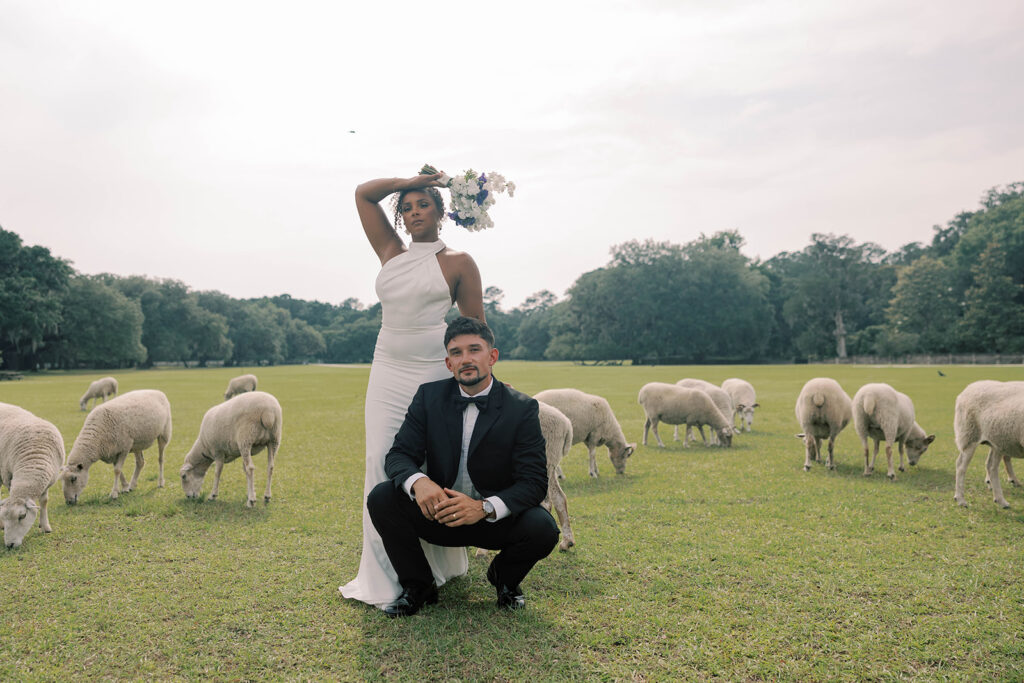 Two Love Stories, One Stunning Backdrop: A Middleton Place Wedding to Remember