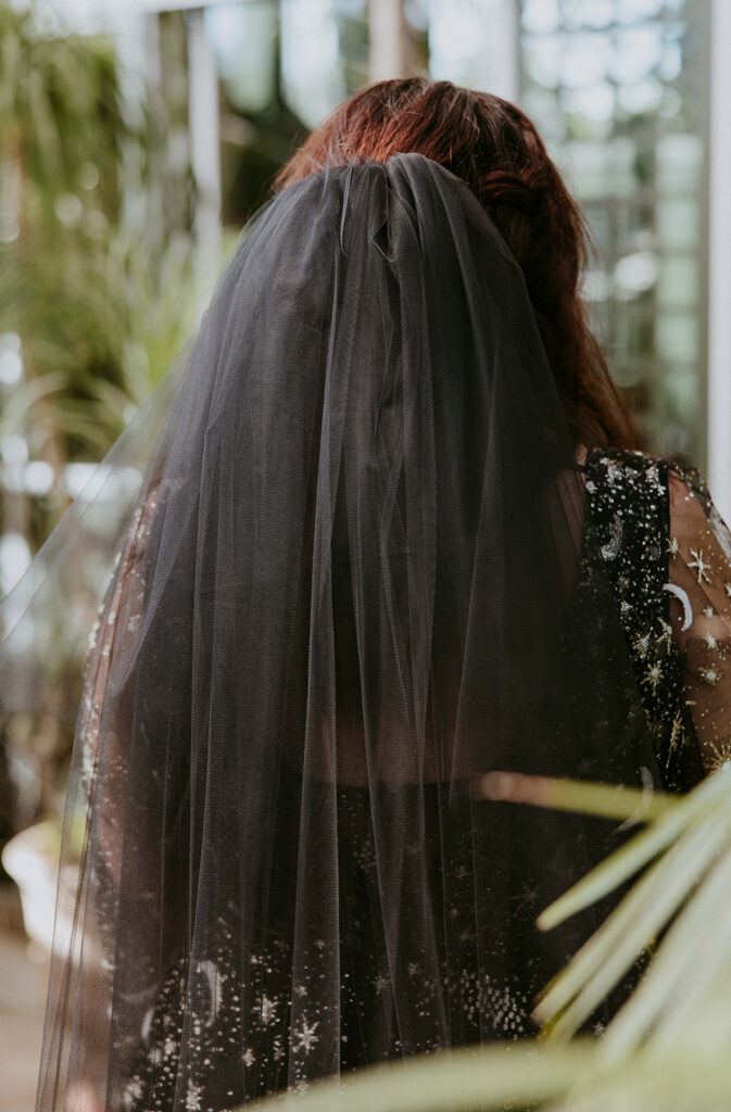 Stunning picture of the bride veil