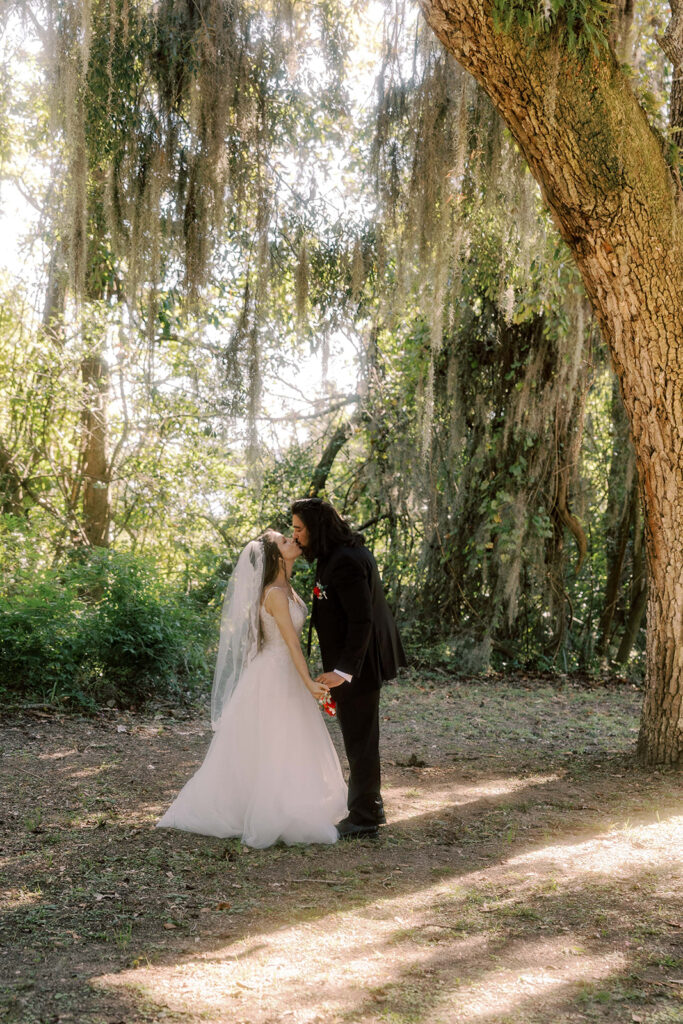 Beautiful picture of the bride and groom, kissing