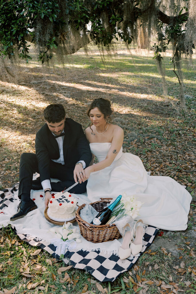 newlyweds cutting their wedding cake