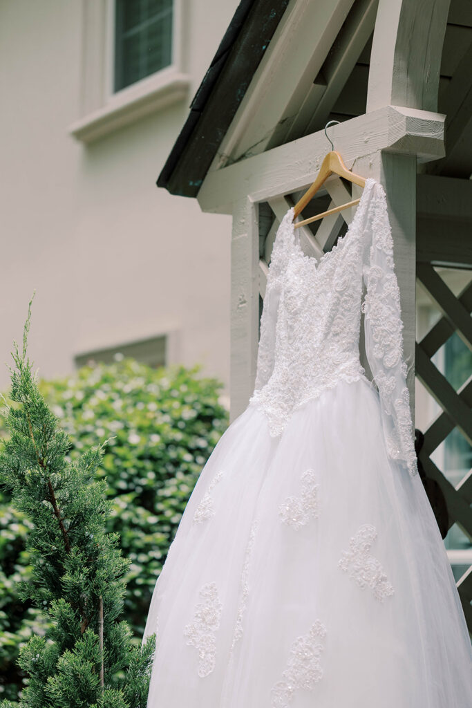 picture of the wedding dress